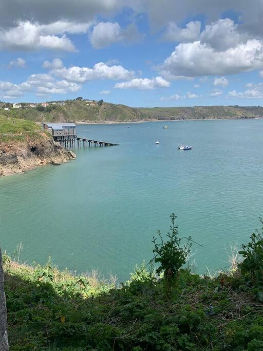Lobster Cottage - Stylish 3 Bedroom Cottage In Heart Of Tenby Town, Pembrokeshire エクステリア 写真